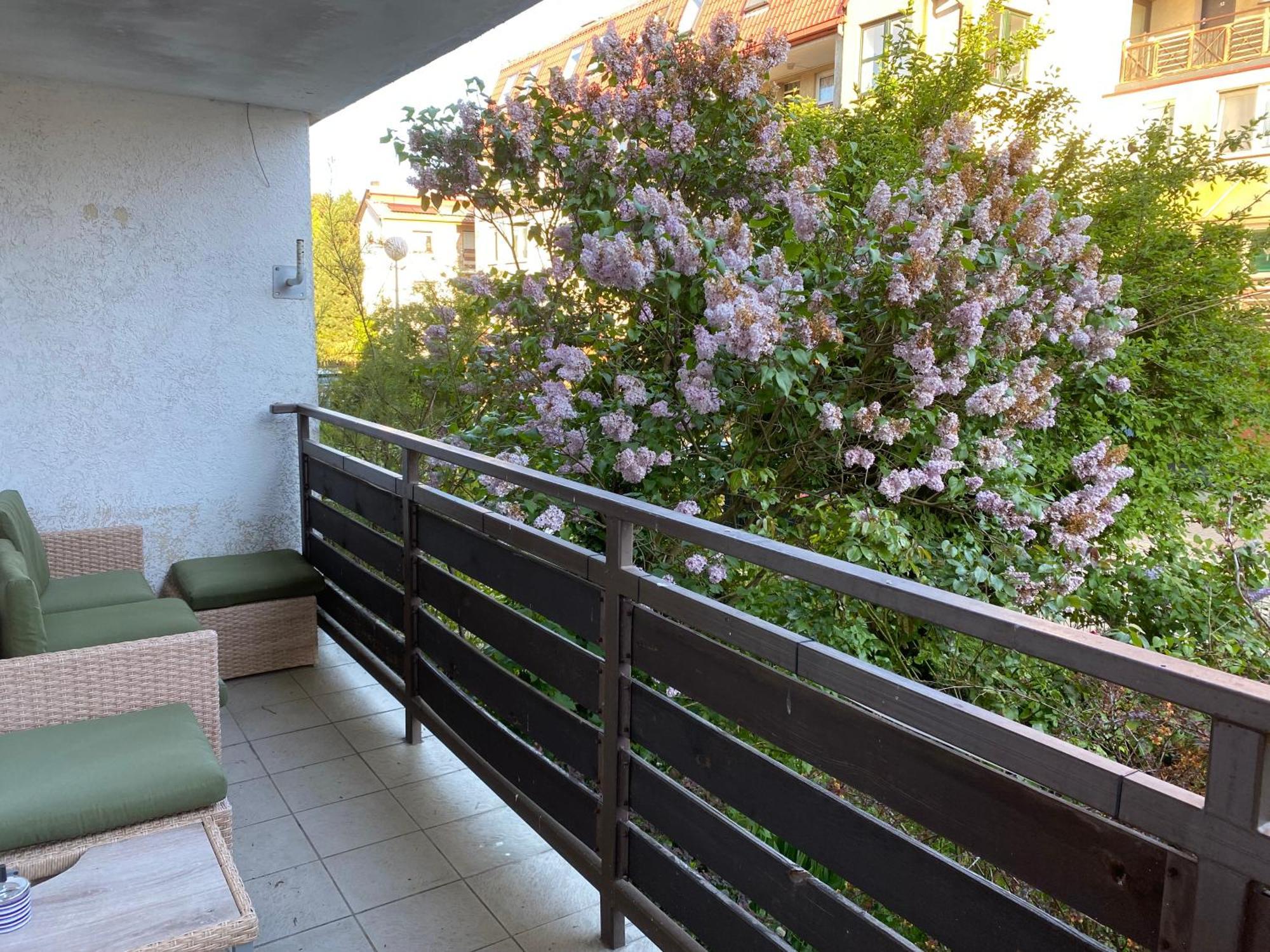 Lesne Apartamenty - Apartament Szary เฮล ภายนอก รูปภาพ
